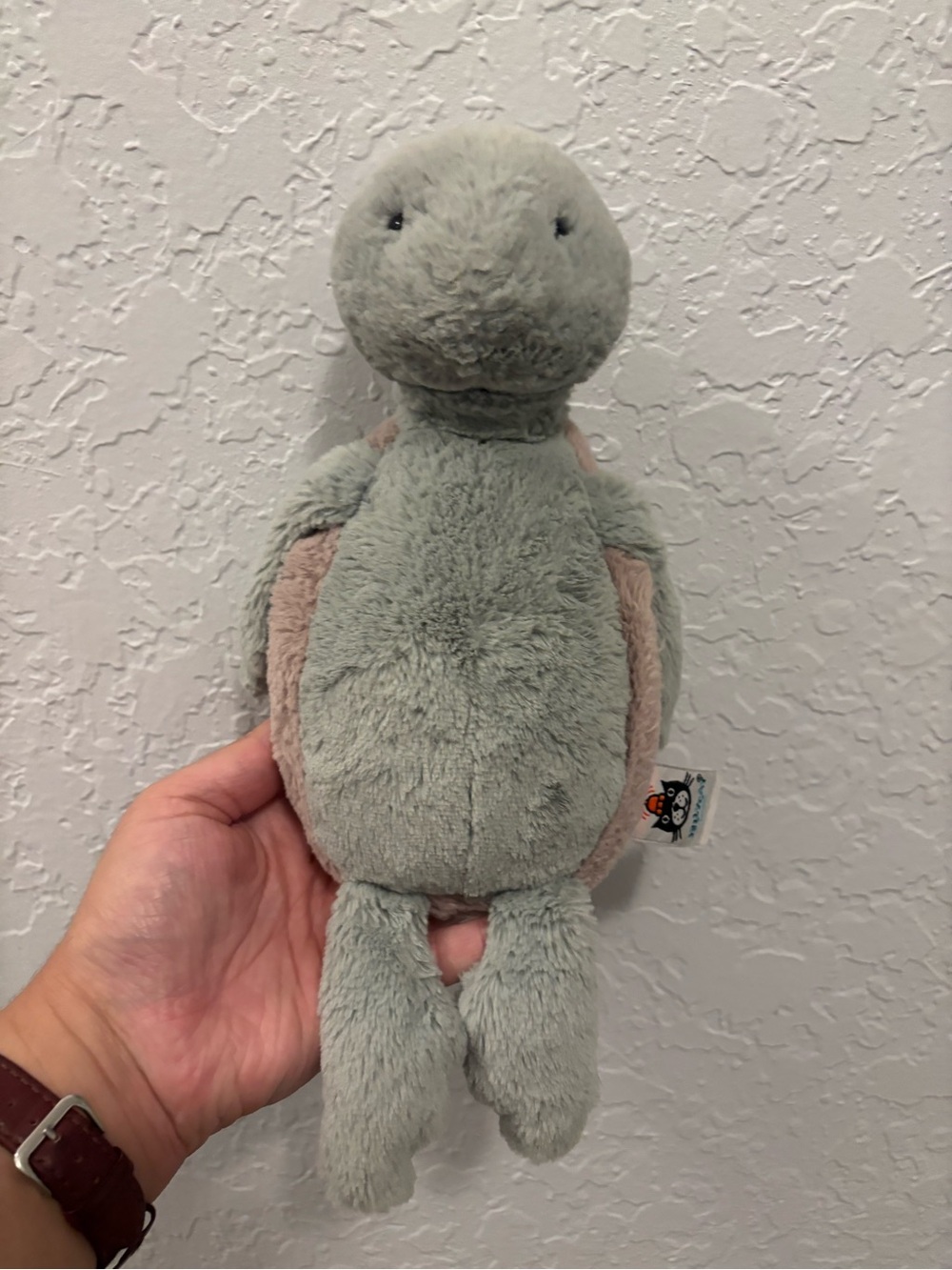 Jellycat Bashful Turtle super cute and rare!